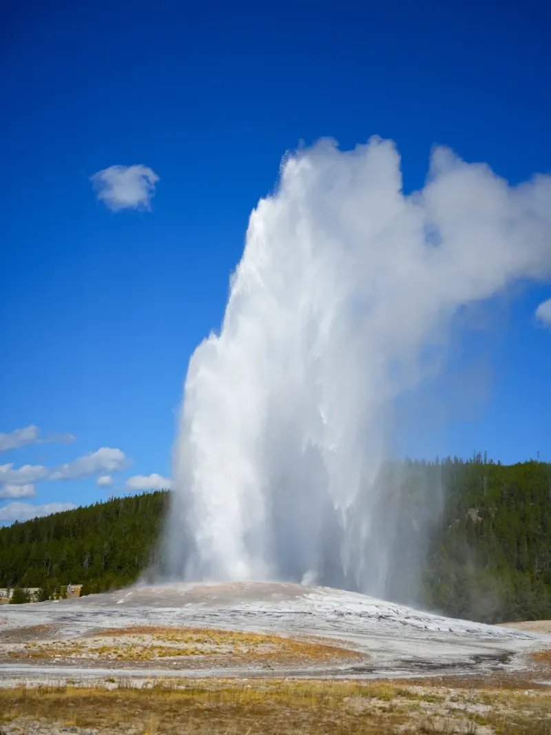 Yellowstone view 1