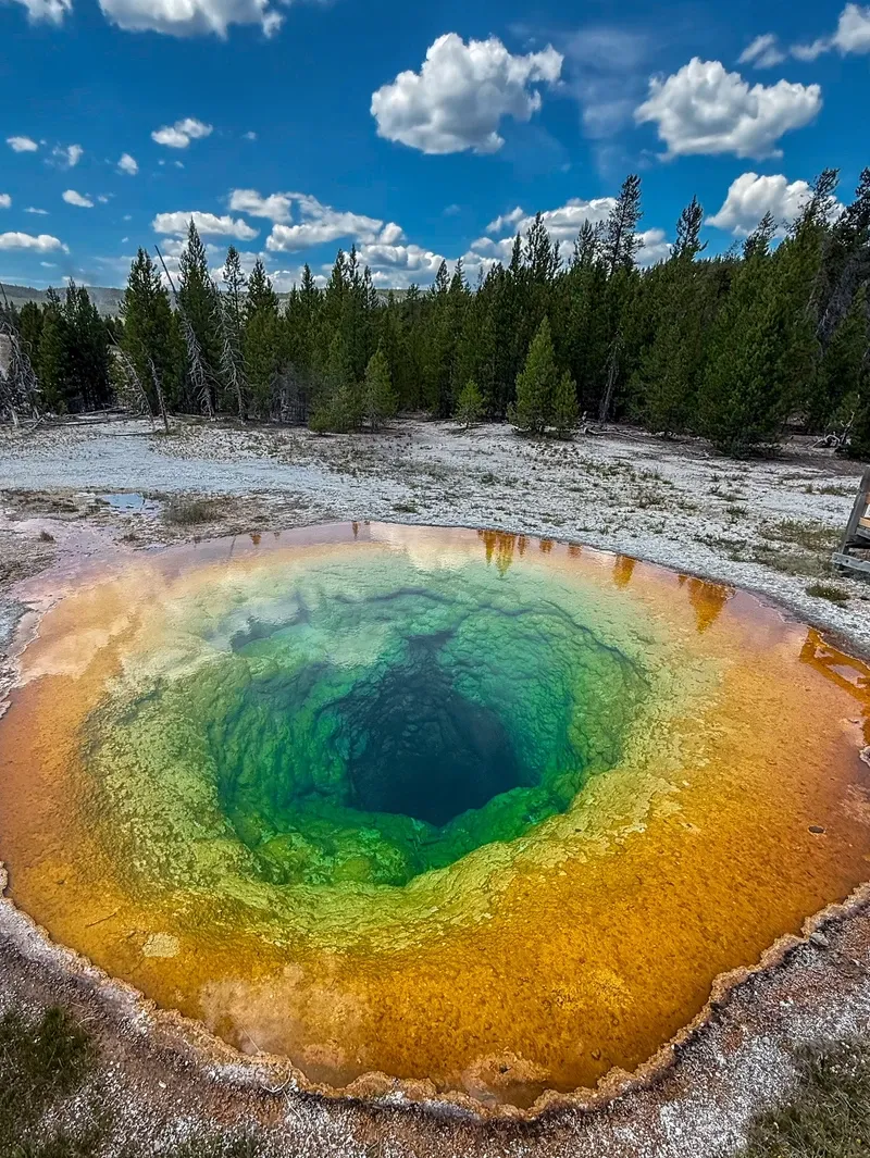 Yellowstone view 2
