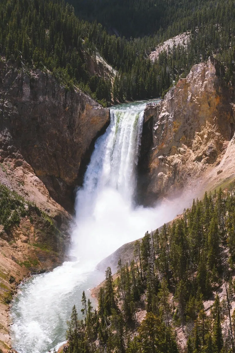 Yellowstone view 4